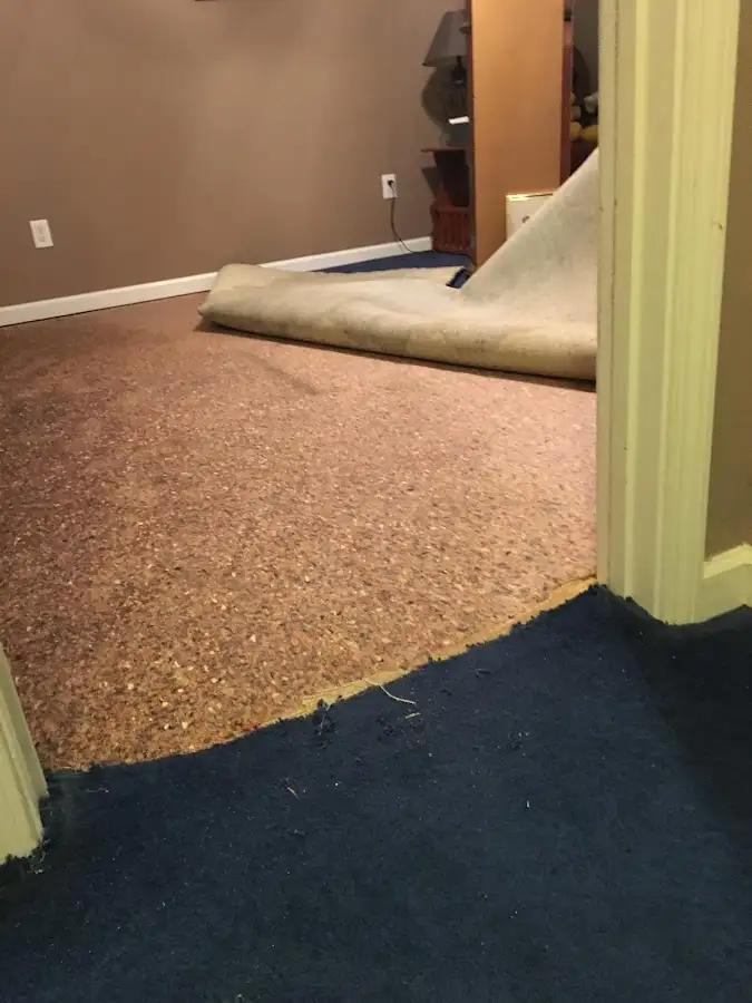 Carpet pad removal revealing water damage during Drying & Dehumidification in Marina