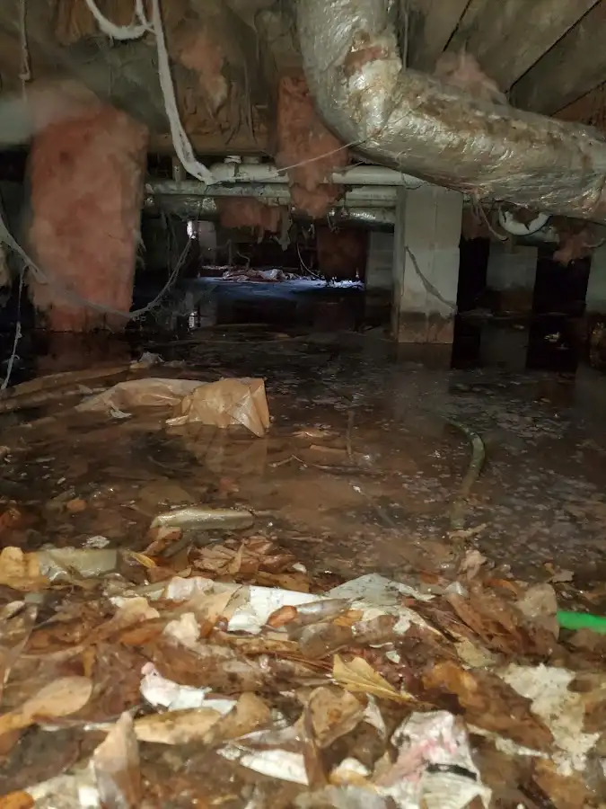Crawl space flood assessment for Leak Detection & Repair in Marina
