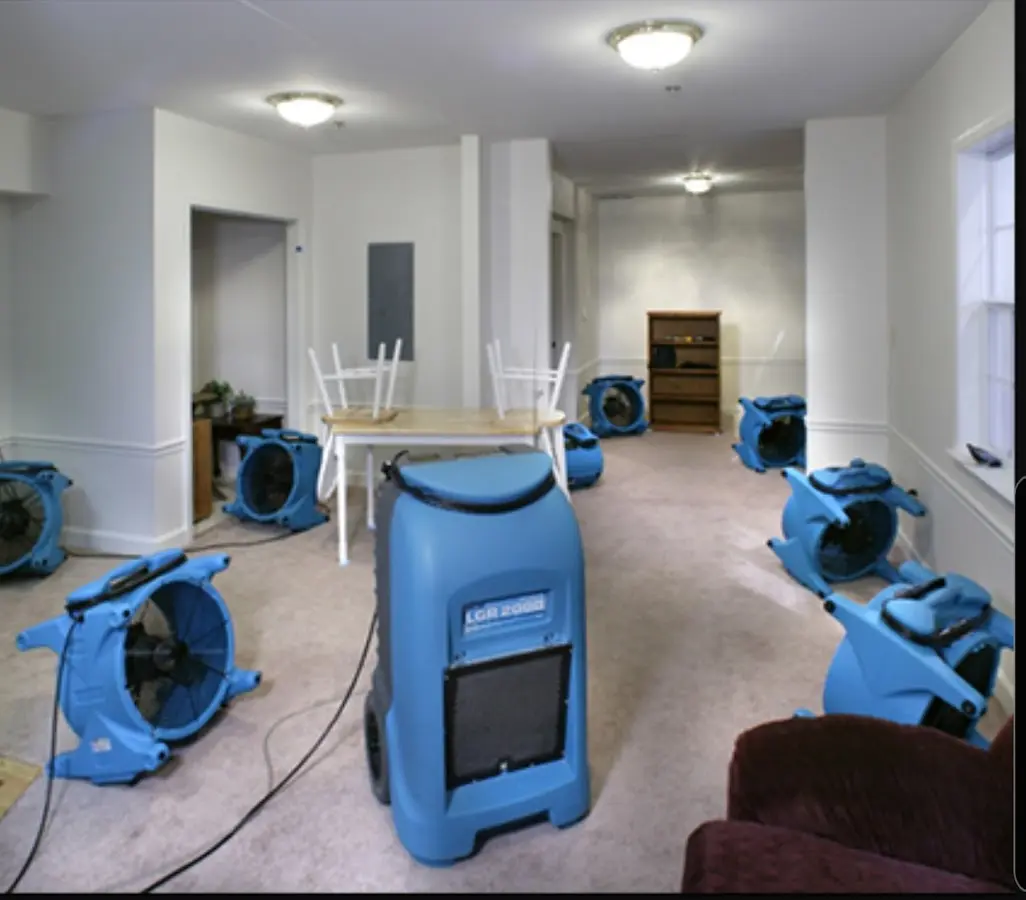 Air movers and dehumidifier setup for Water Extraction & Removal in Marina
