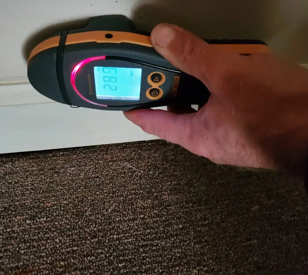 Moisture detection at baseboard during Burst Pipe Cleanup in Marina